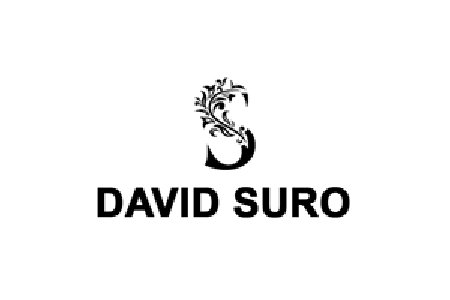 The Law Office of David A. Surro